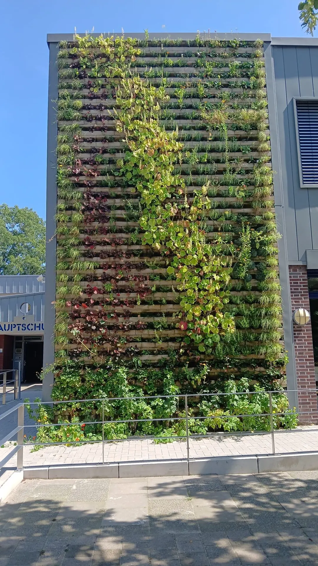 Zaļā siena instalācija